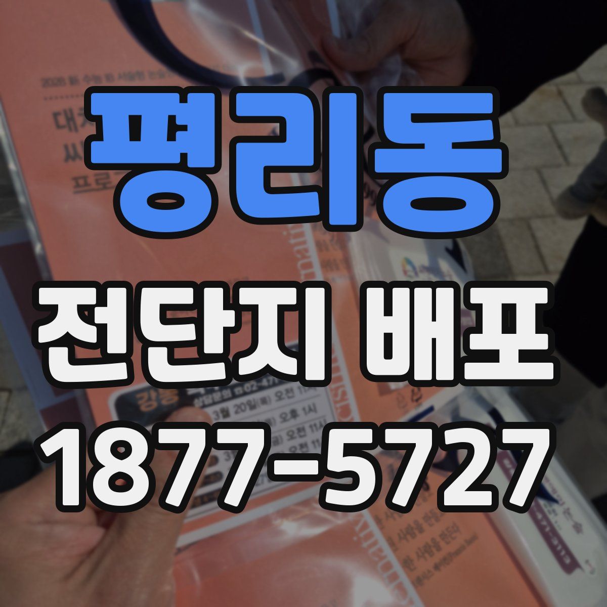 평리동 전단지 배포