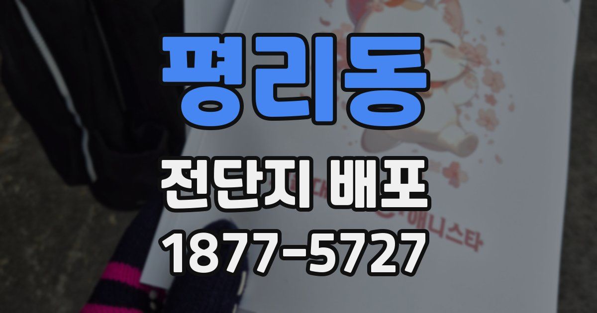 평리동 전단지 배포