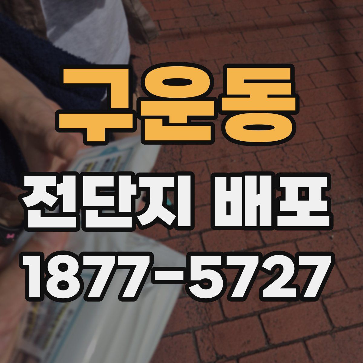 구운동 전단지 배포