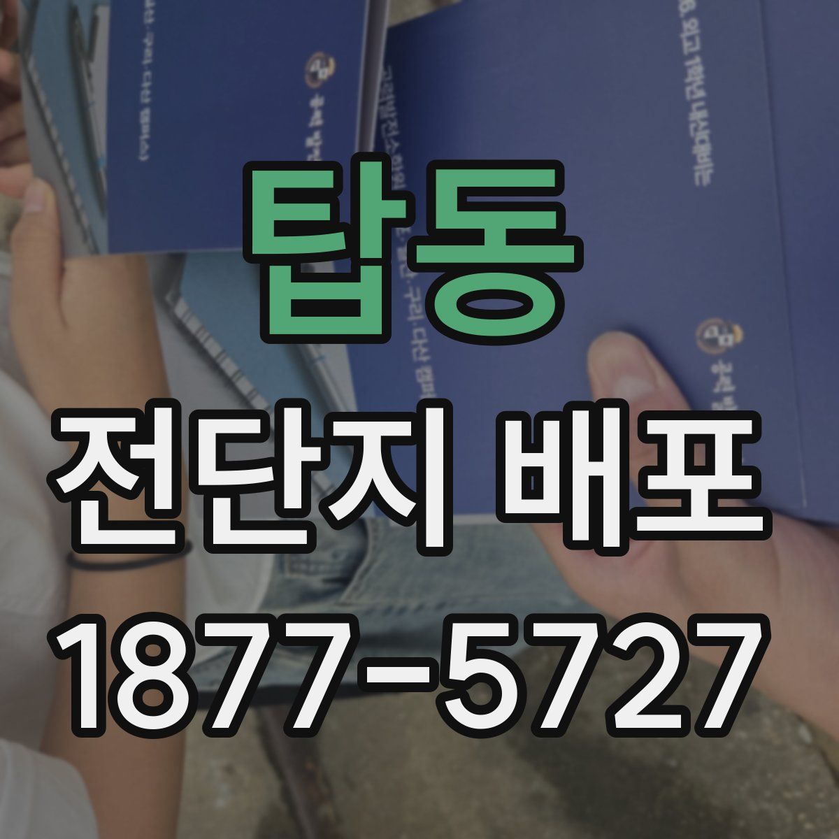 탑동 전단지 배포