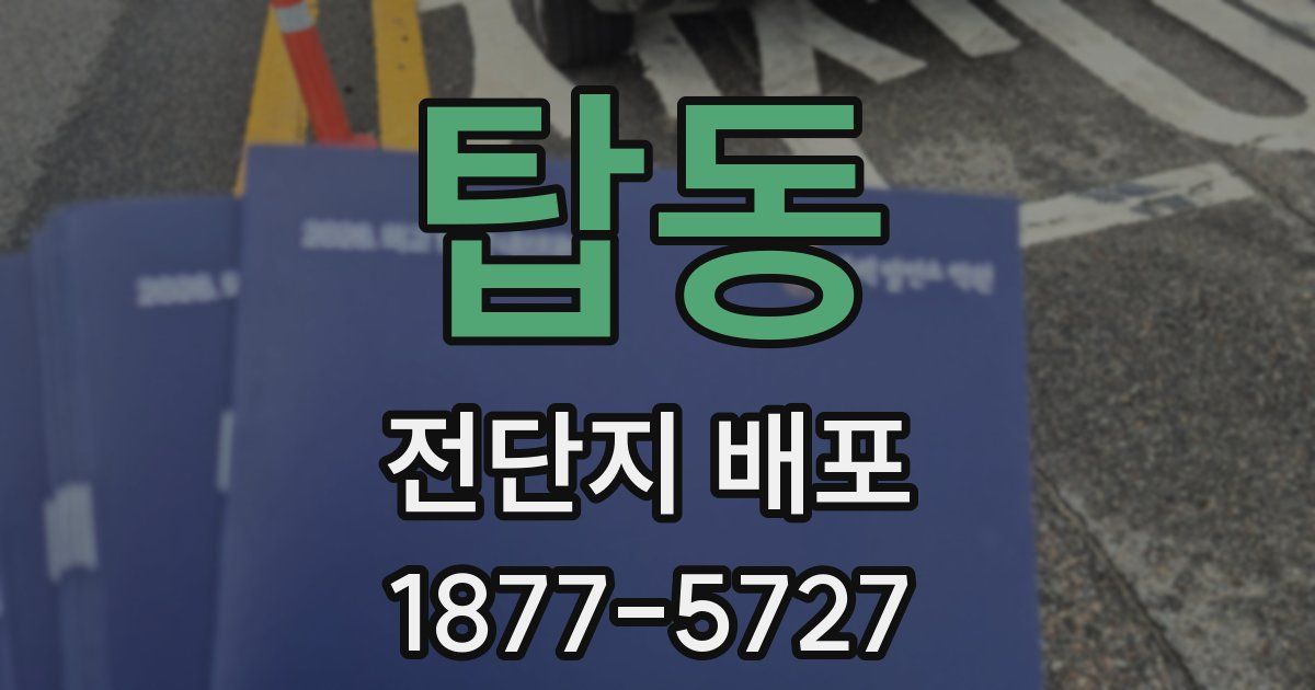 탑동 전단지 배포