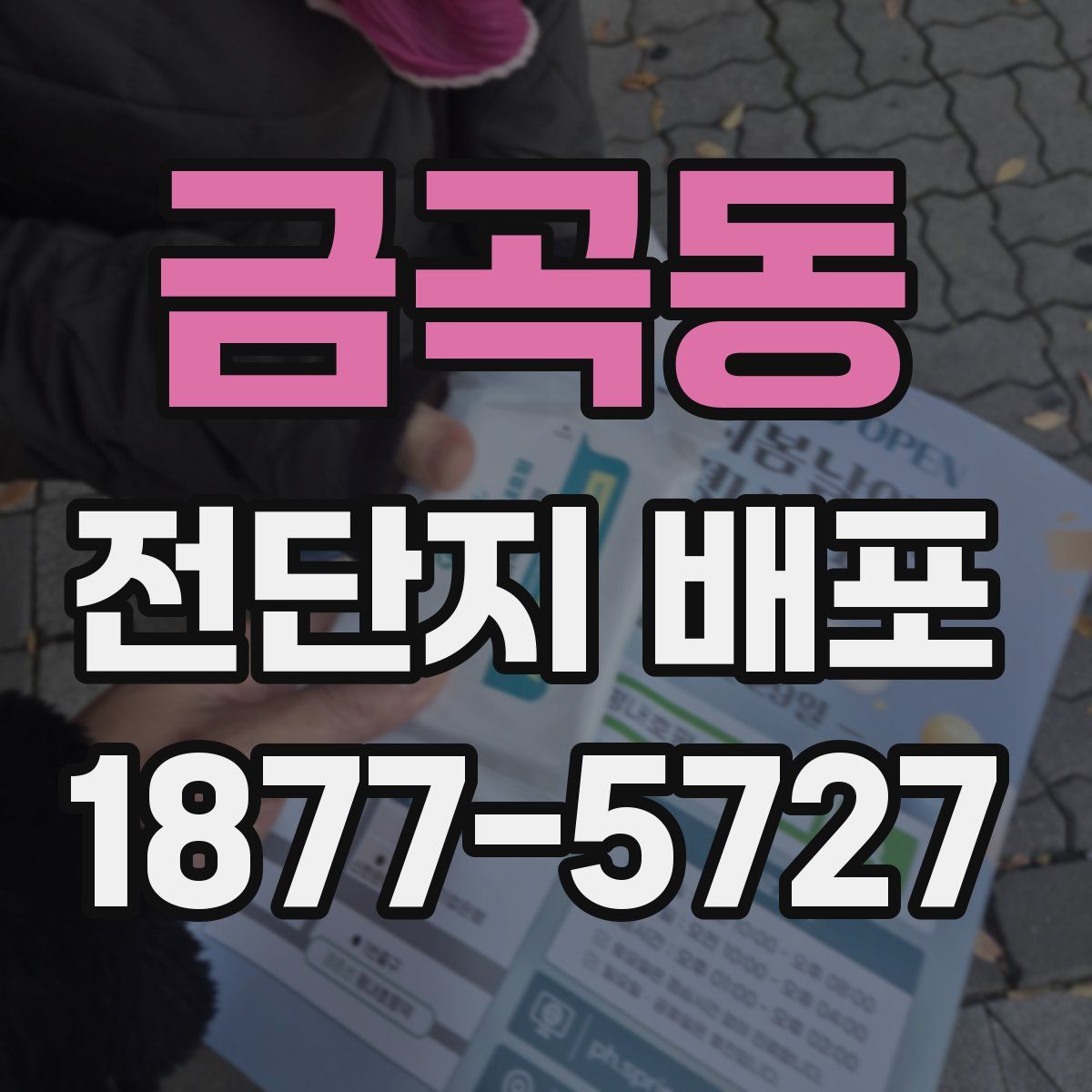 금곡동 전단지 배포