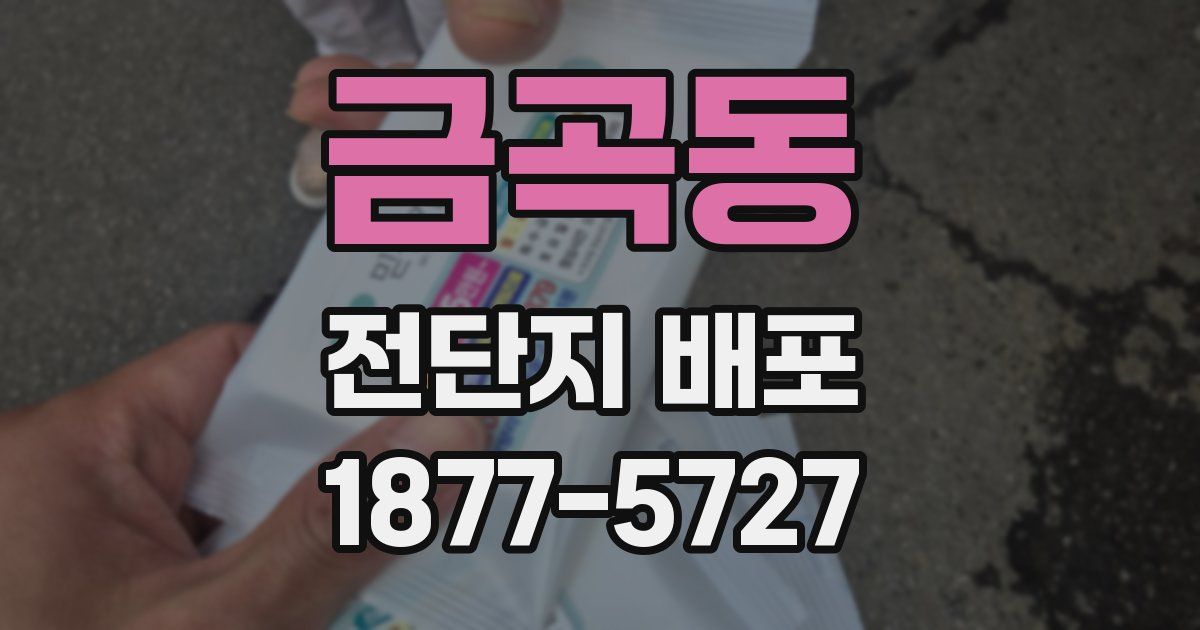금곡동 전단지 배포