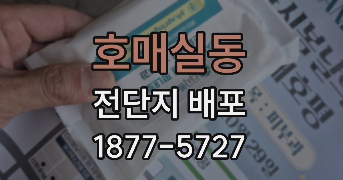 호매실동 전단지 배포
