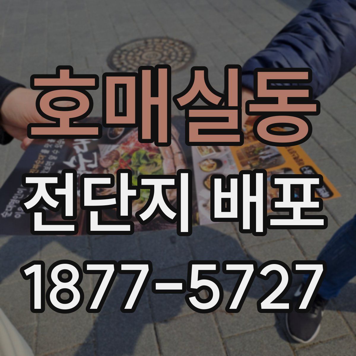 호매실동 전단지 배포