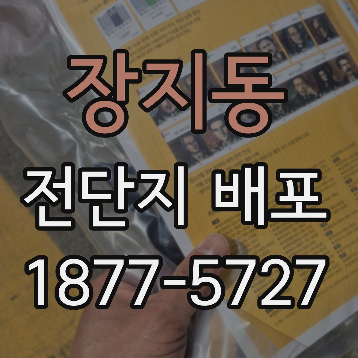 장지동 전단지 배포