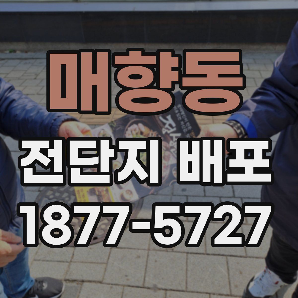 매향동 전단지 배포