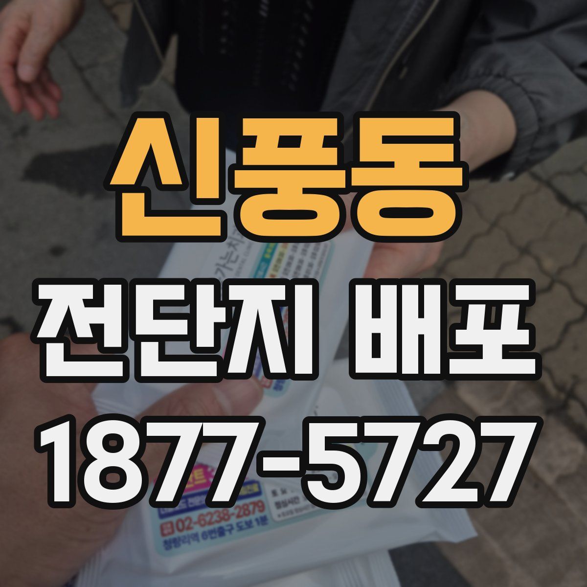 신풍동 전단지 배포
