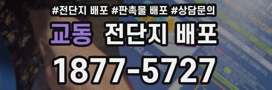 교동 전단지 배포