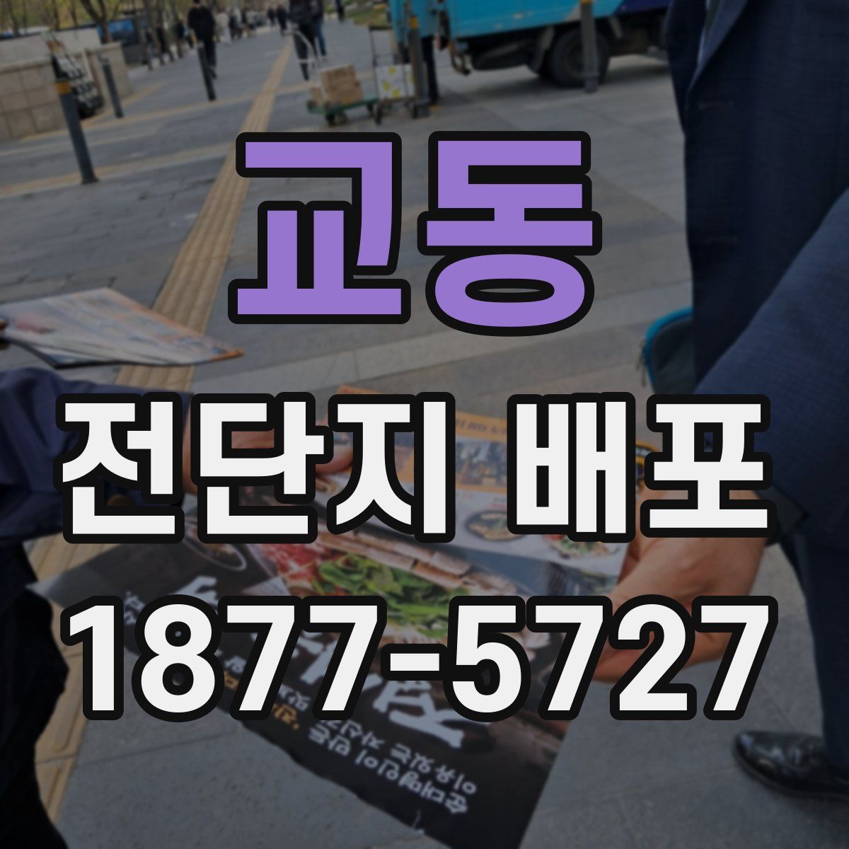 교동 전단지 배포