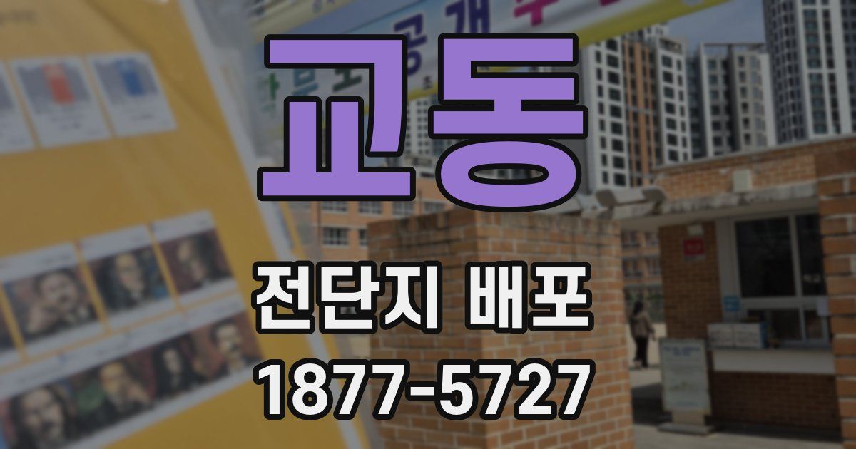 교동 전단지 배포
