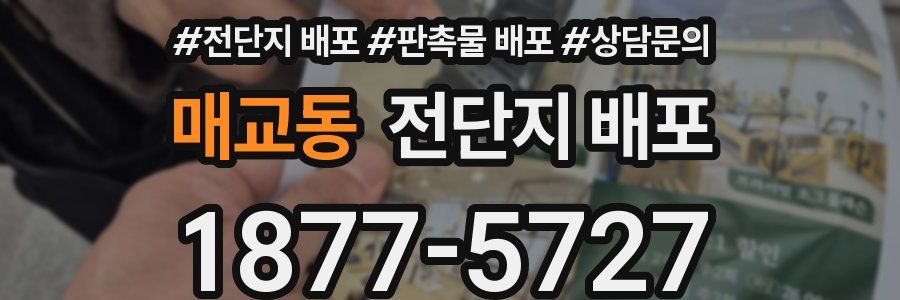 매교동 전단지 배포