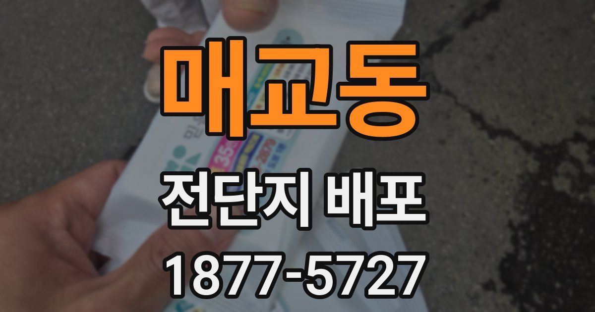 매교동 전단지 배포
