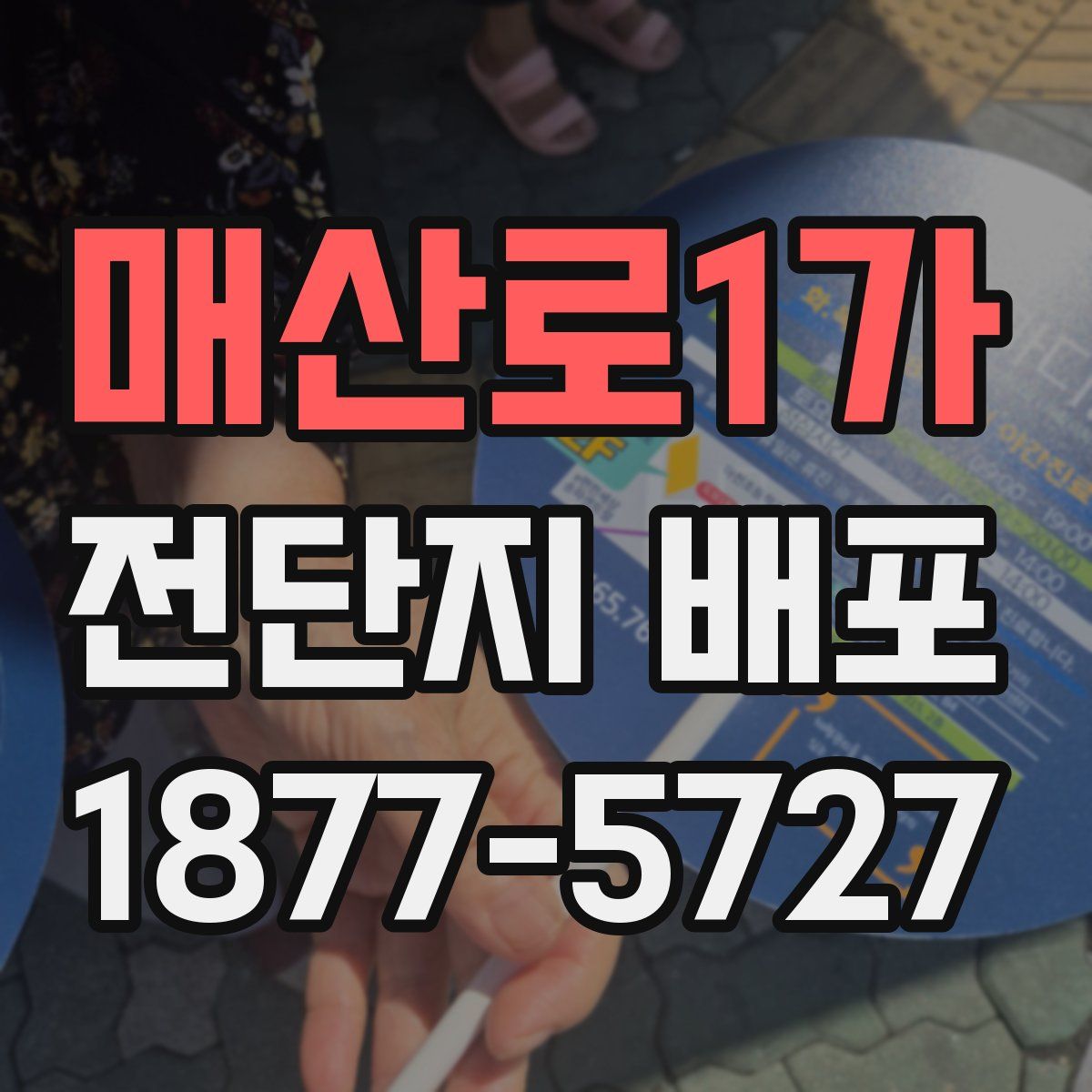 매산로1가 전단지 배포