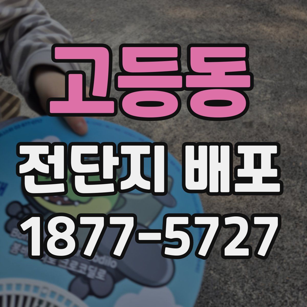 고등동 전단지 배포