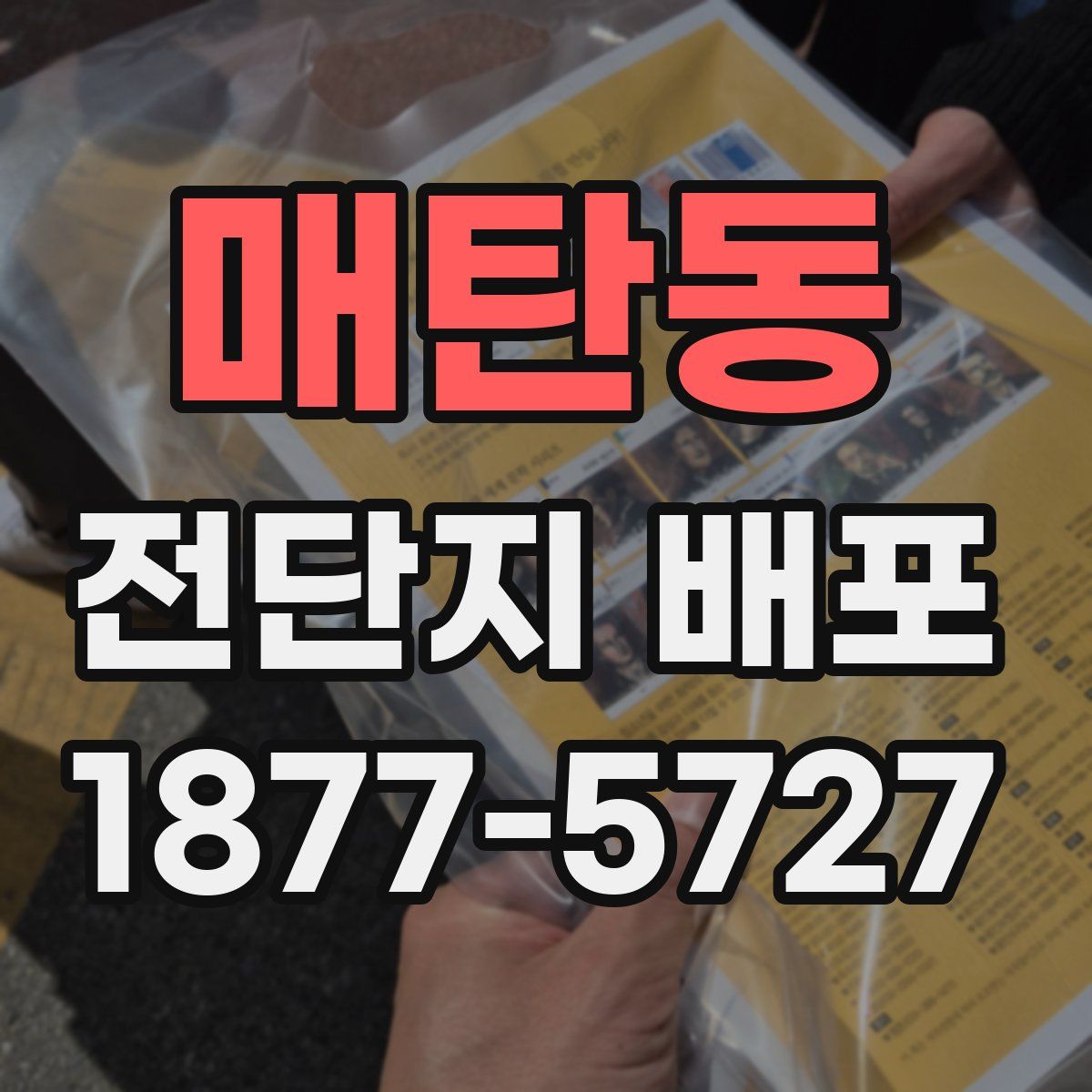 매탄동 전단지 배포