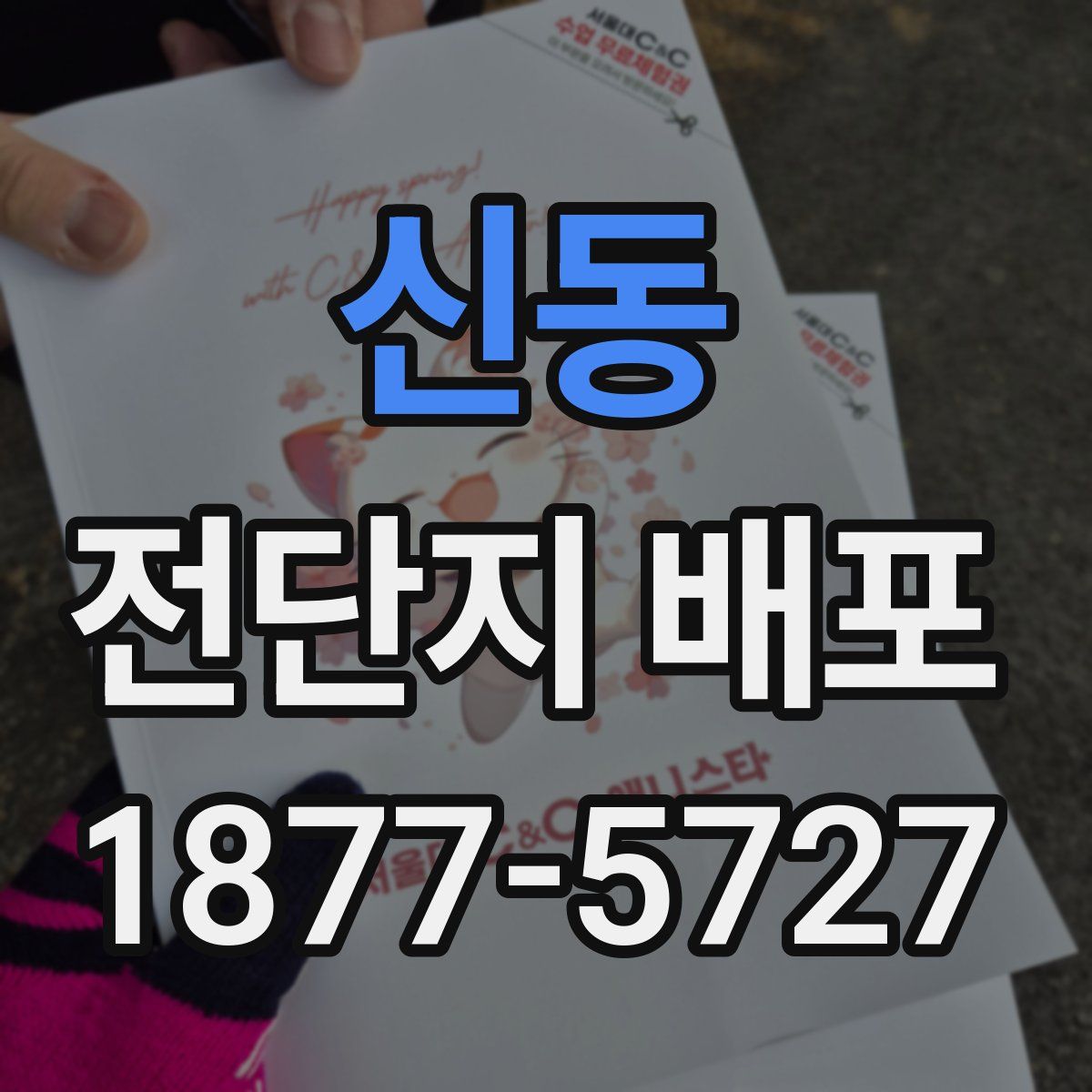 신동 전단지 배포
