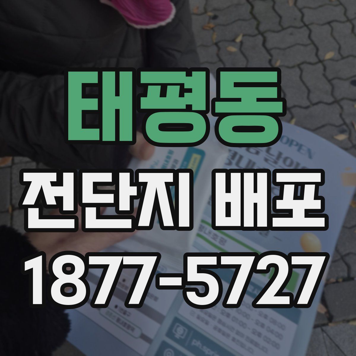 태평동 전단지 배포