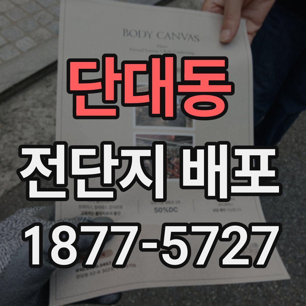 단대동 전단지 배포