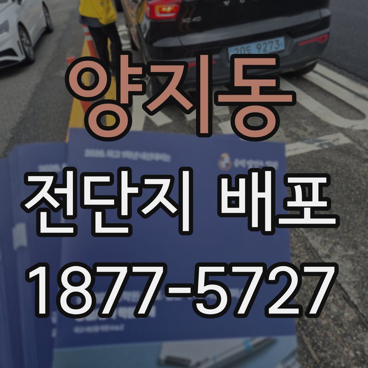 양지동 전단지 배포