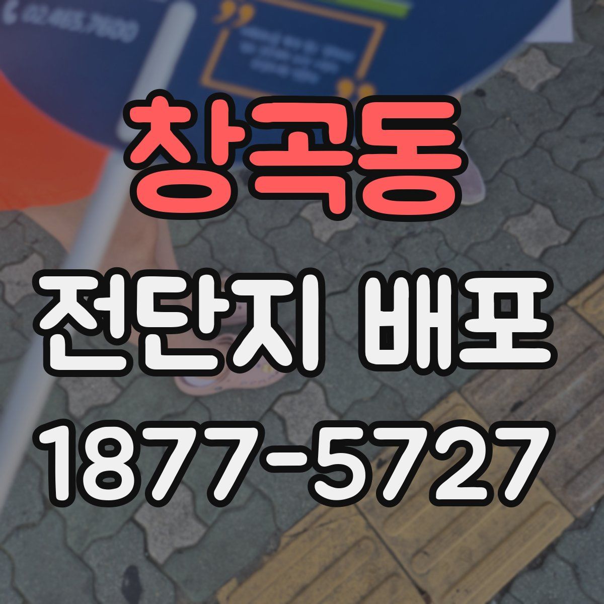 창곡동 전단지 배포
