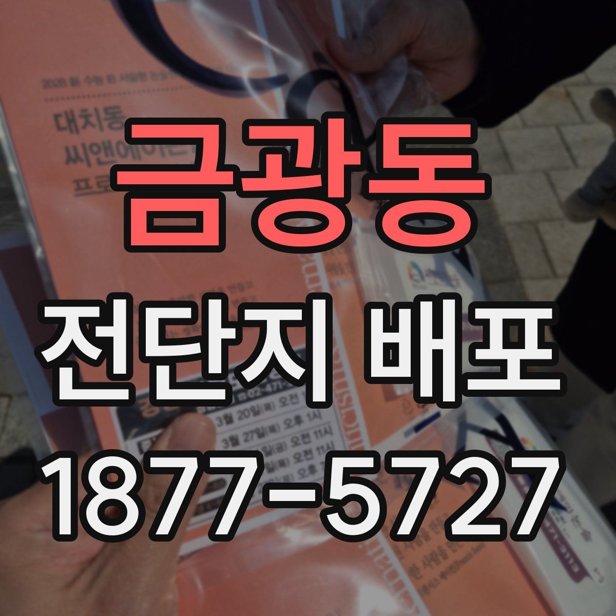 금광동 전단지 배포