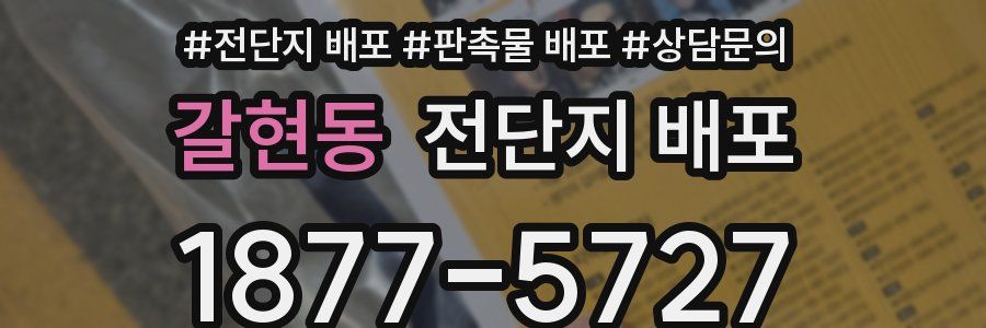 갈현동 전단지 배포
