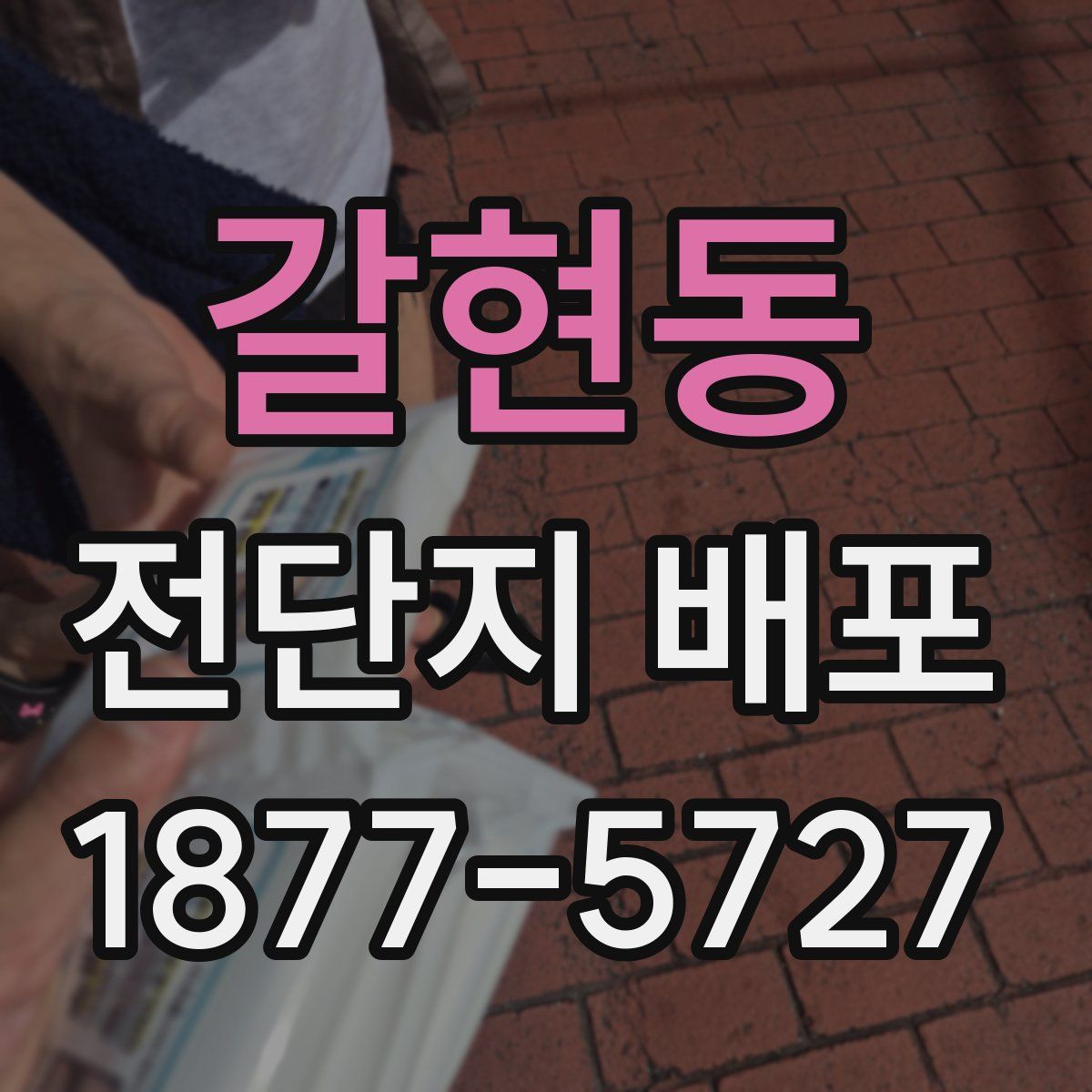 갈현동 전단지 배포