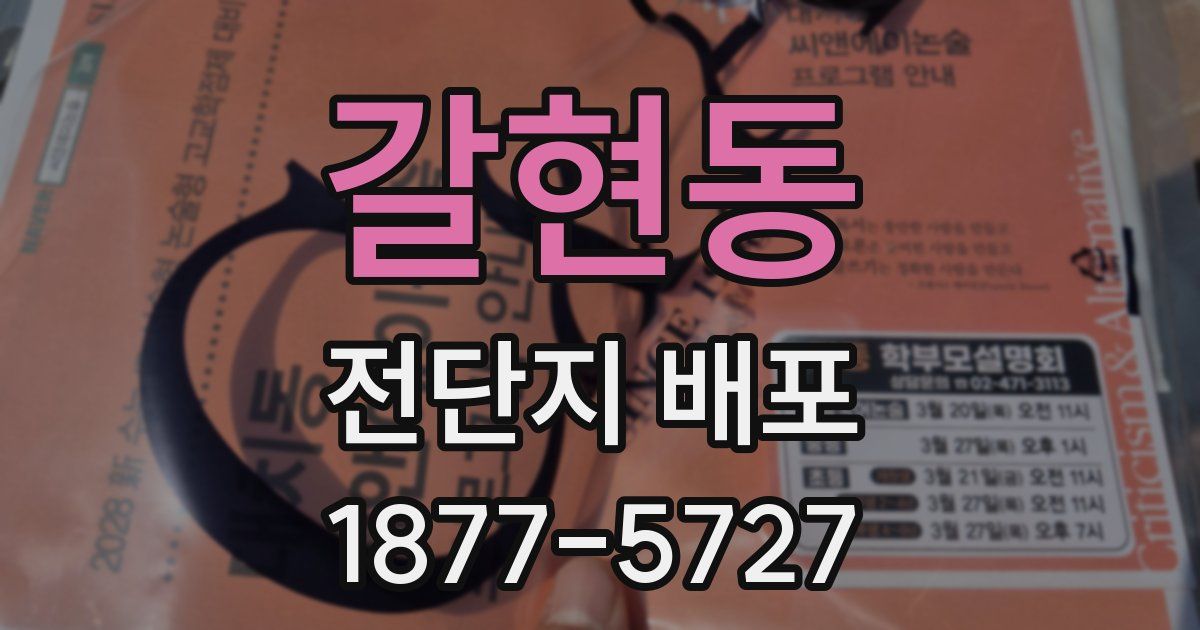 갈현동 전단지 배포