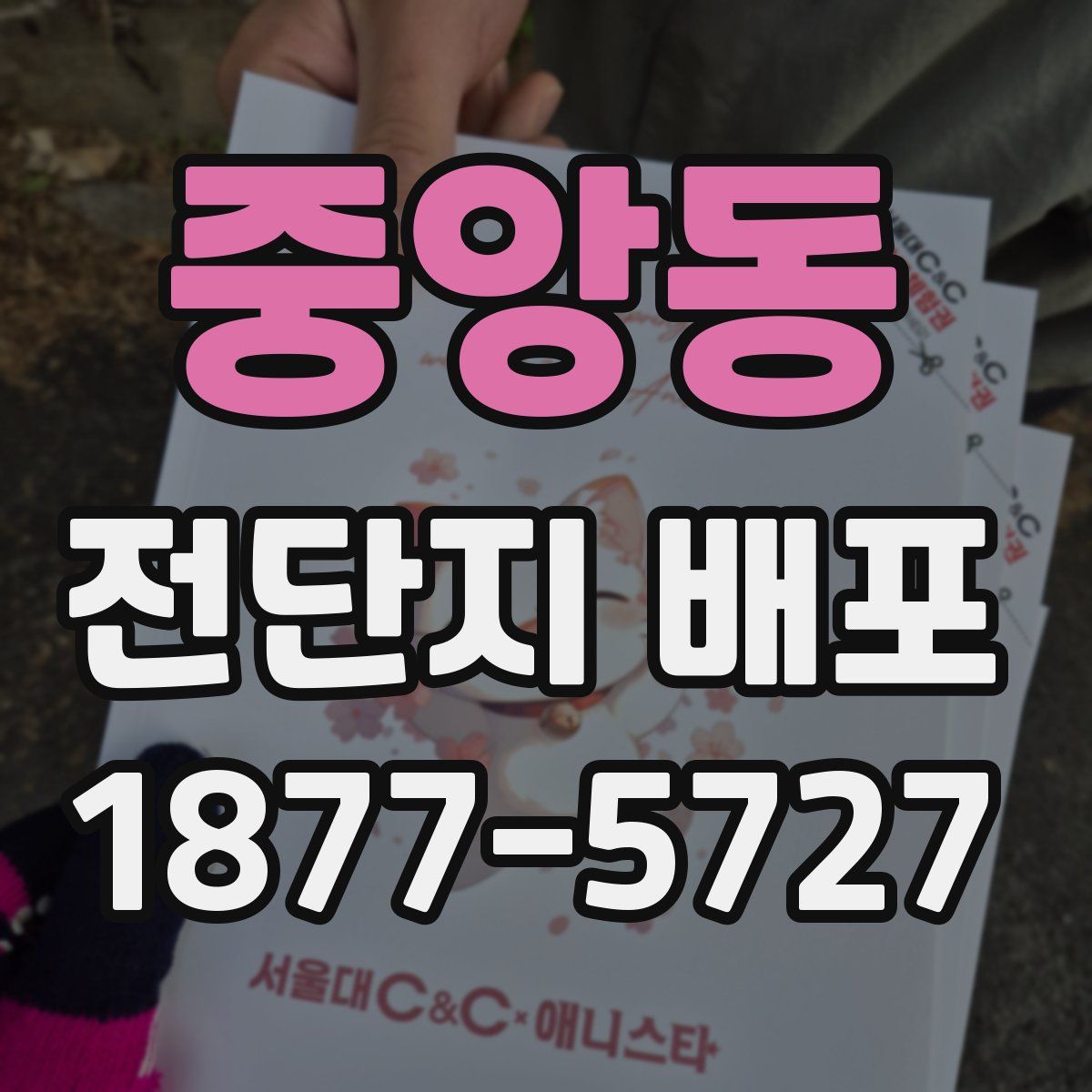 중앙동 전단지 배포