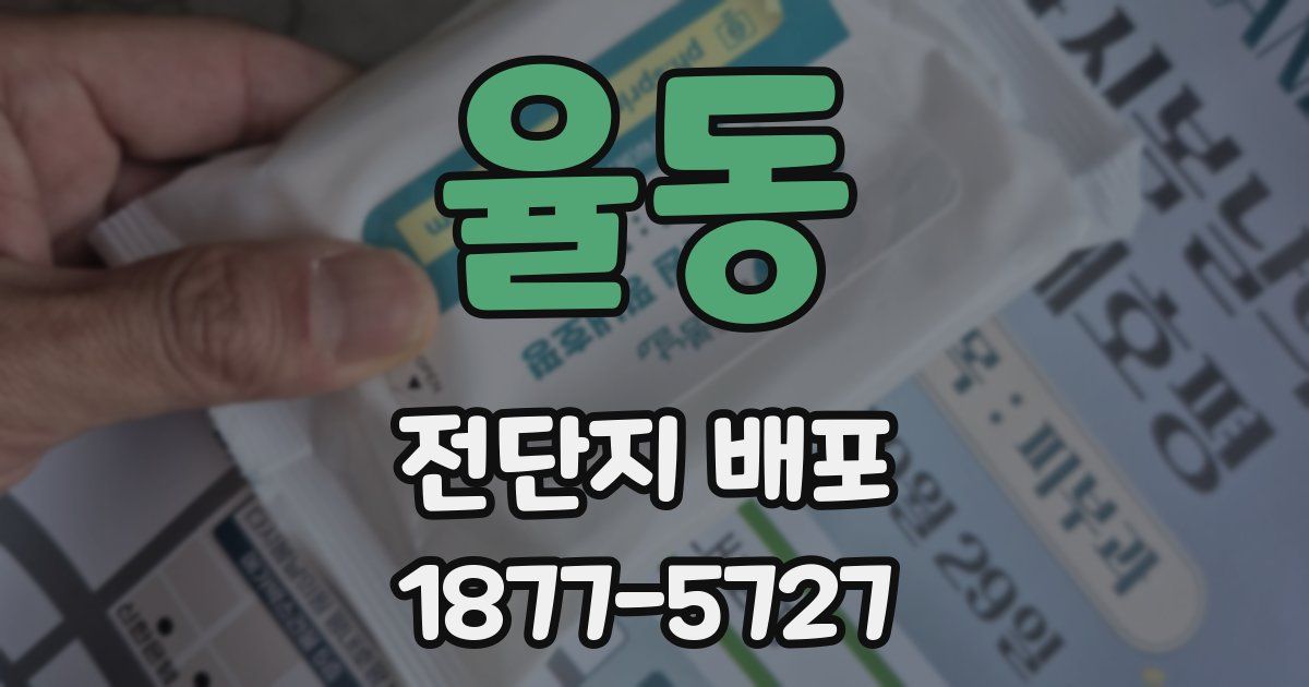율동 전단지 배포