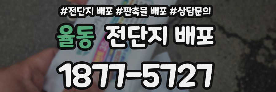 율동 전단지 배포