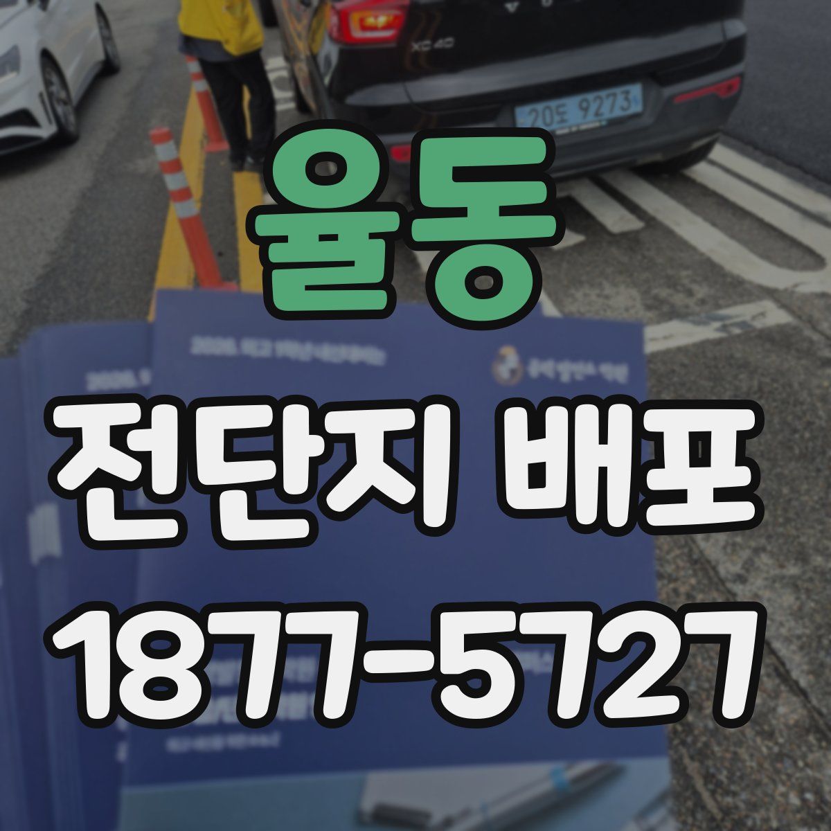 율동 전단지 배포