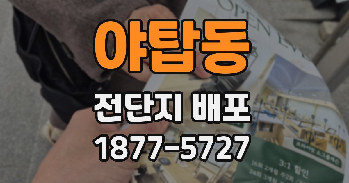 야탑동 전단지 배포