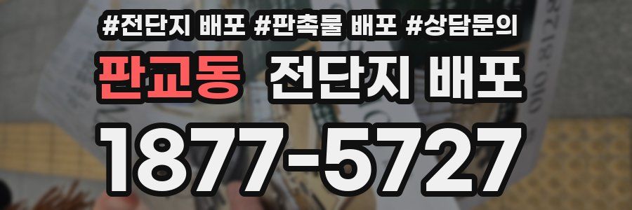 판교동 전단지 배포