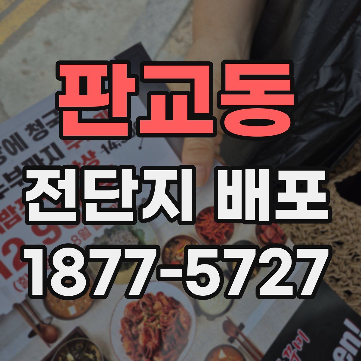 판교동 전단지 배포