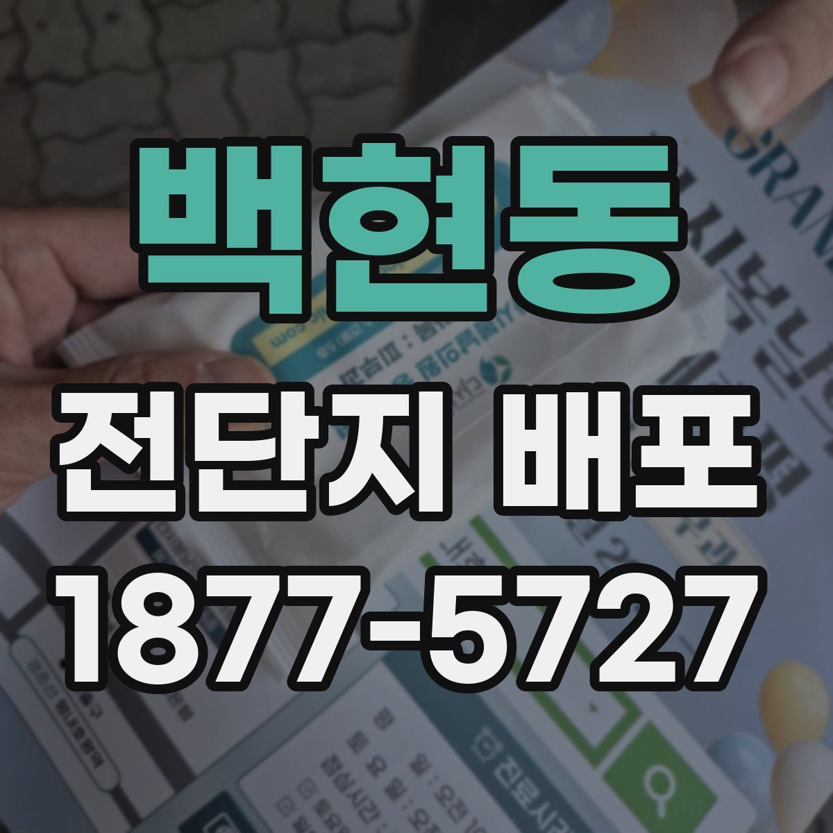 백현동 전단지 배포