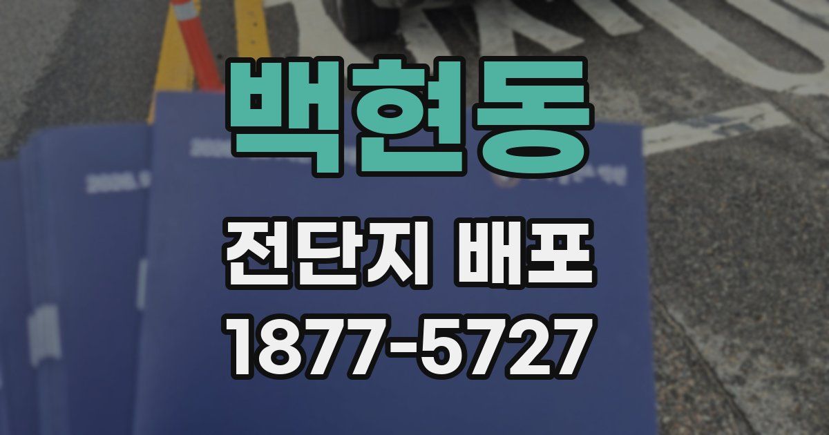 백현동 전단지 배포