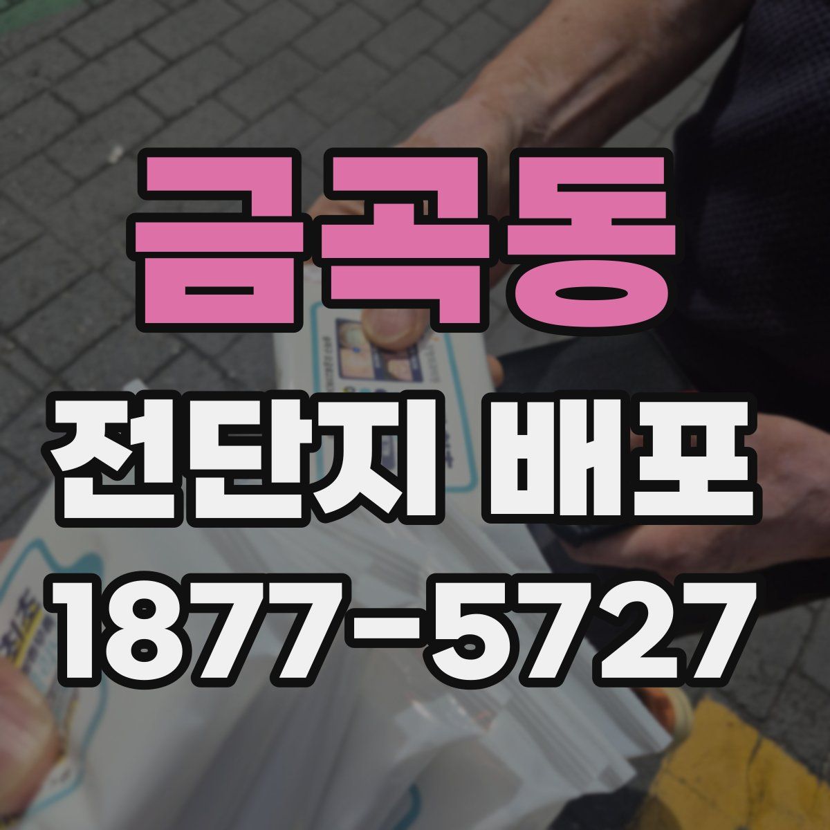 금곡동 전단지 배포