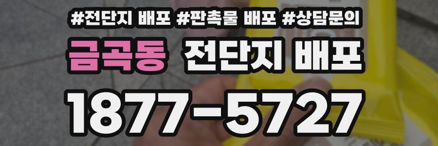 금곡동 전단지 배포