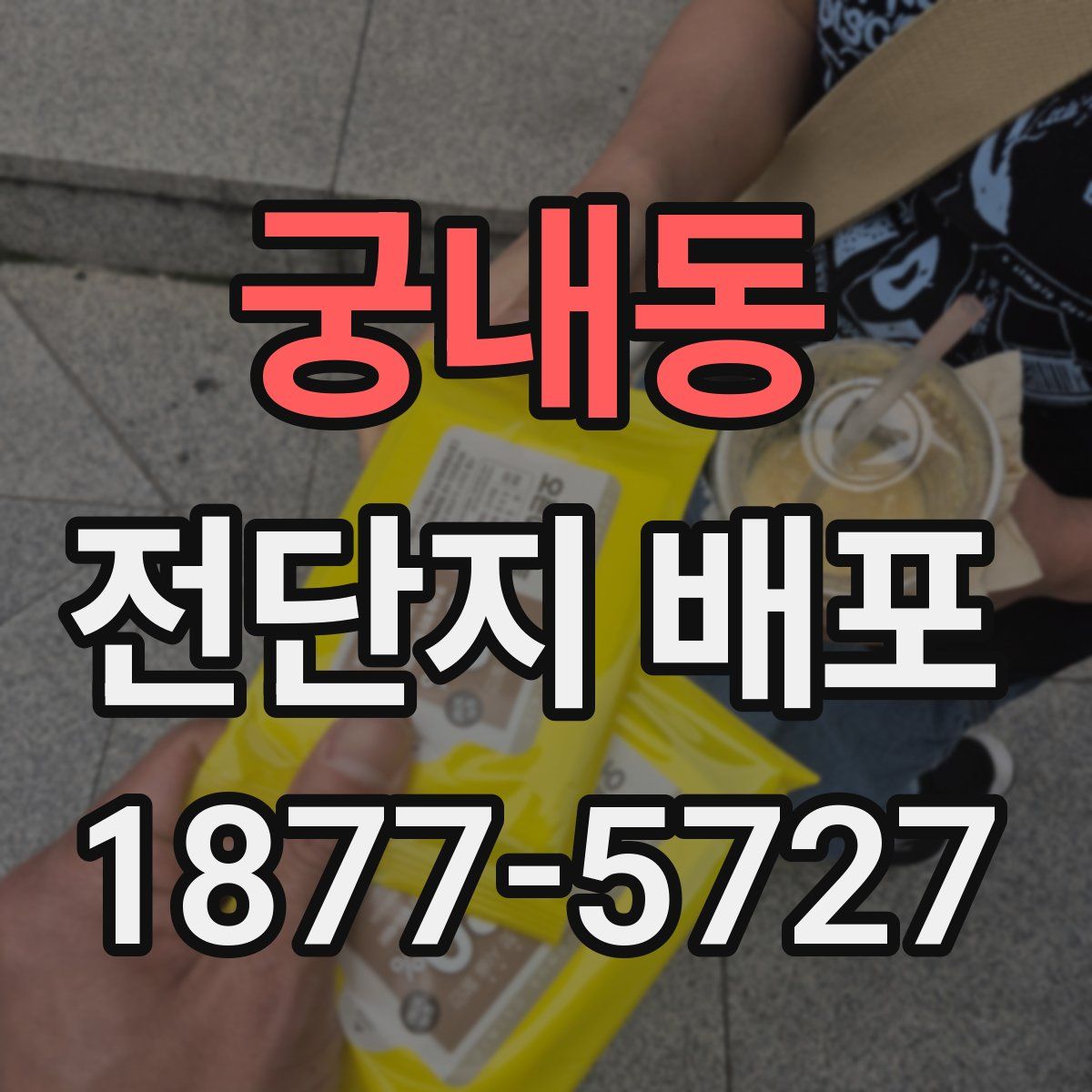 궁내동 전단지 배포