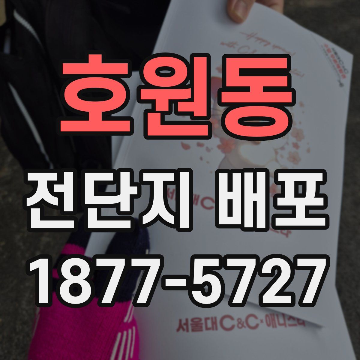 호원동 전단지 배포