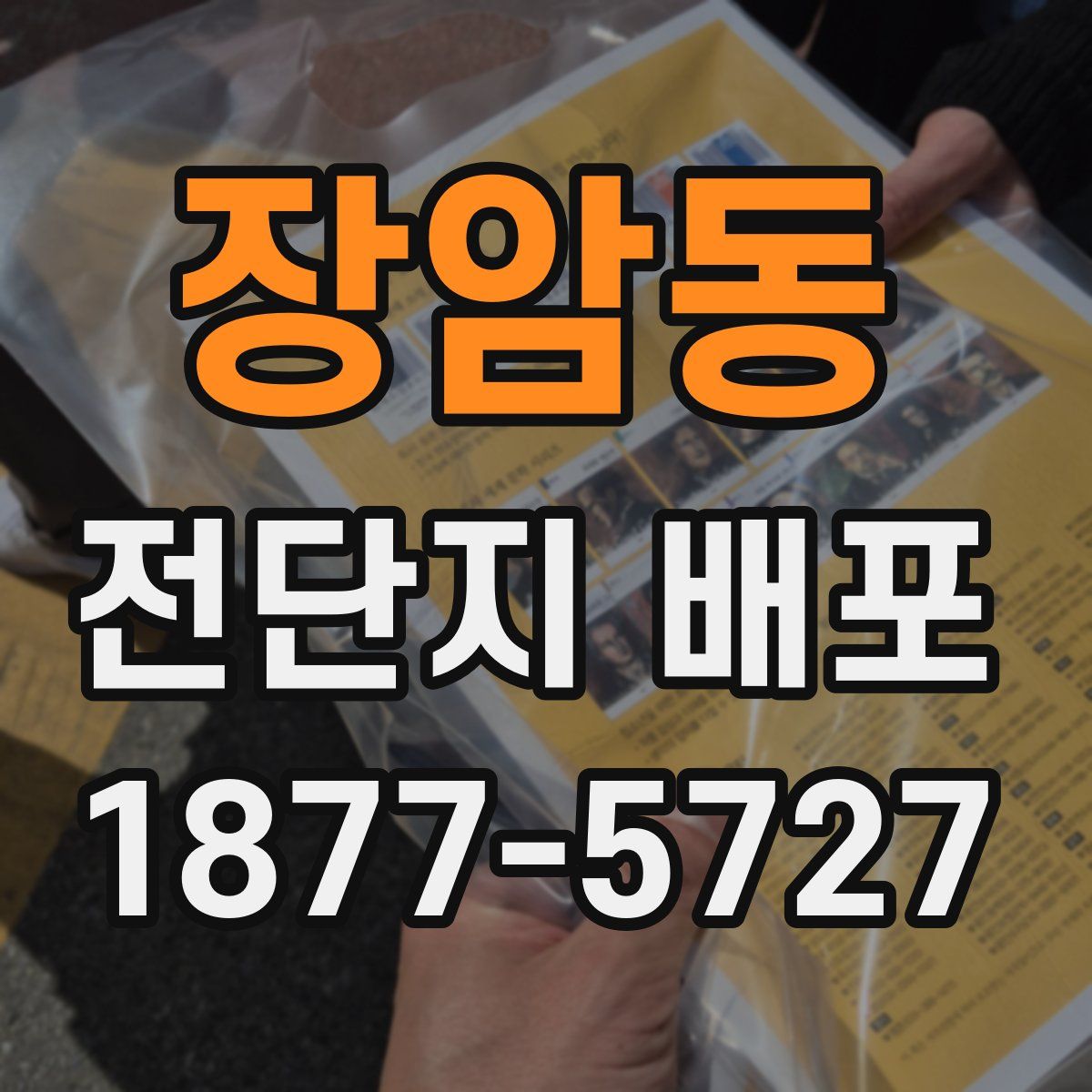 장암동 전단지 배포