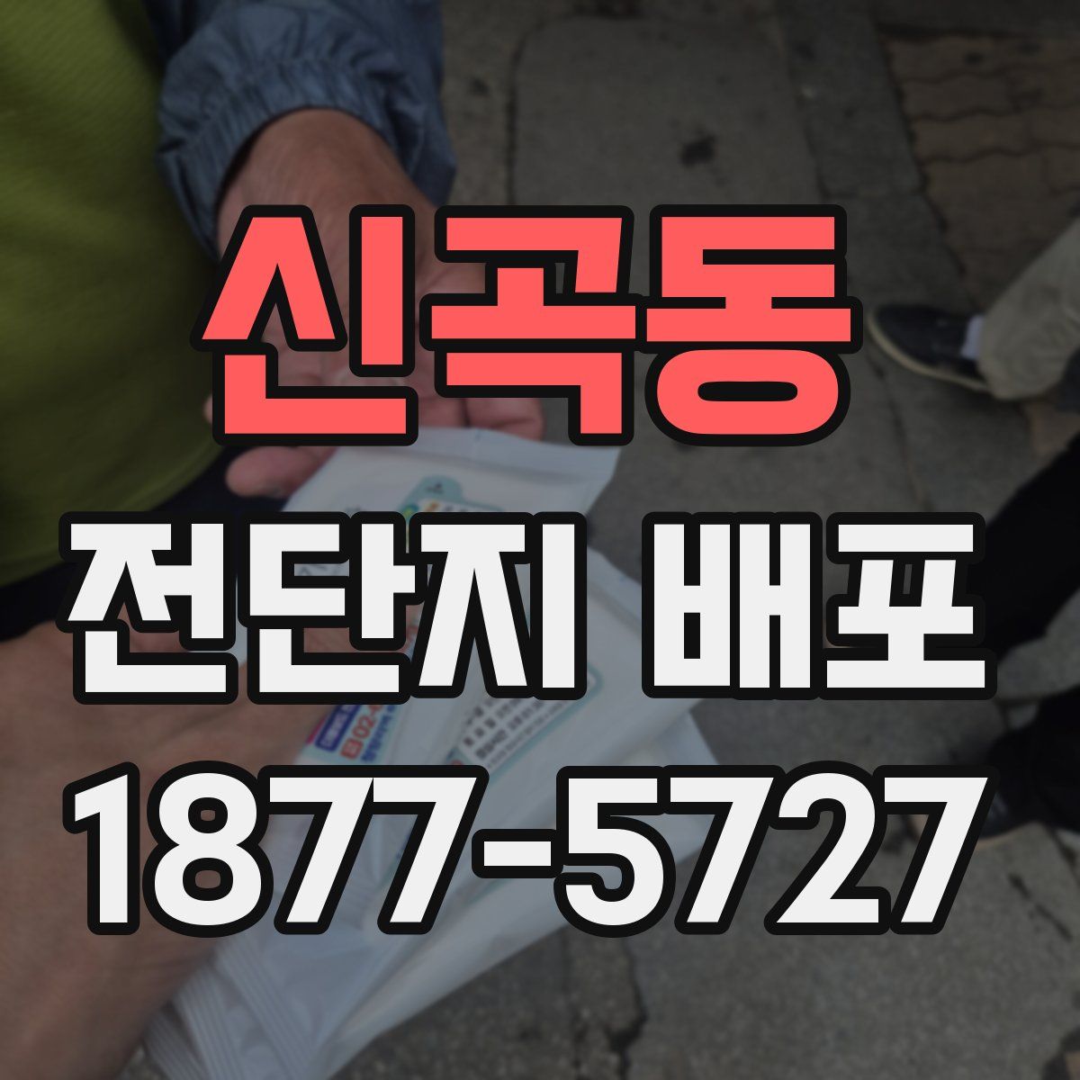 신곡동 전단지 배포