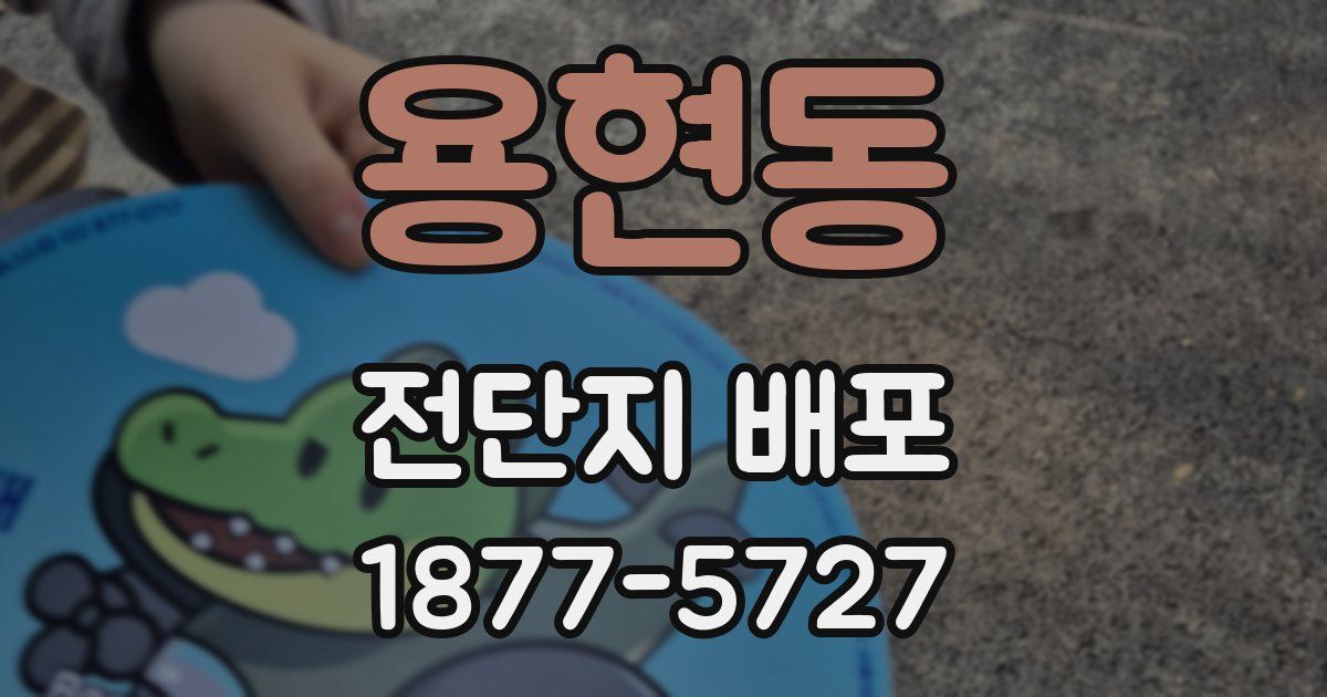 용현동 전단지 배포