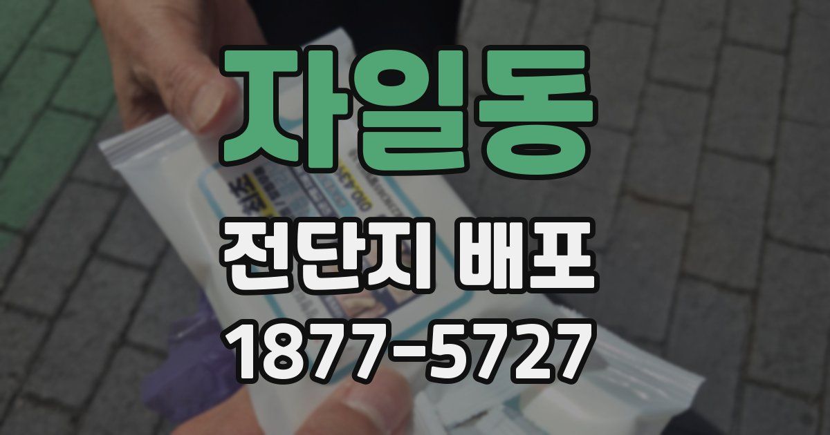 자일동 전단지 배포