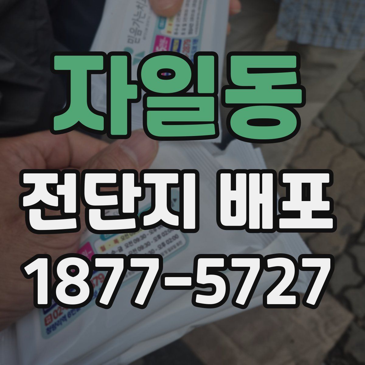 자일동 전단지 배포