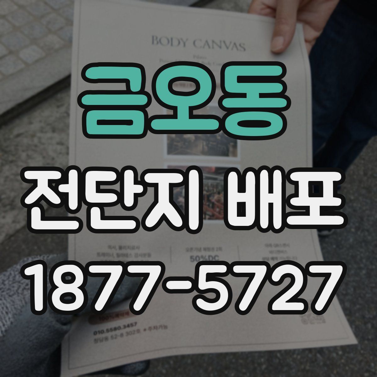 금오동 전단지 배포