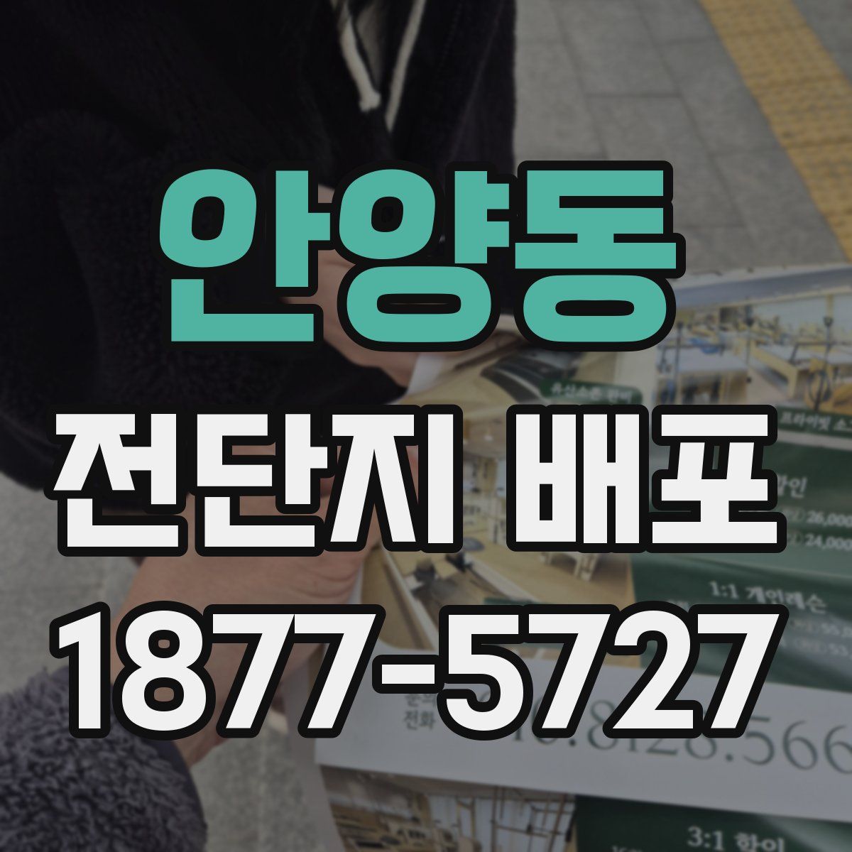 안양동 전단지 배포