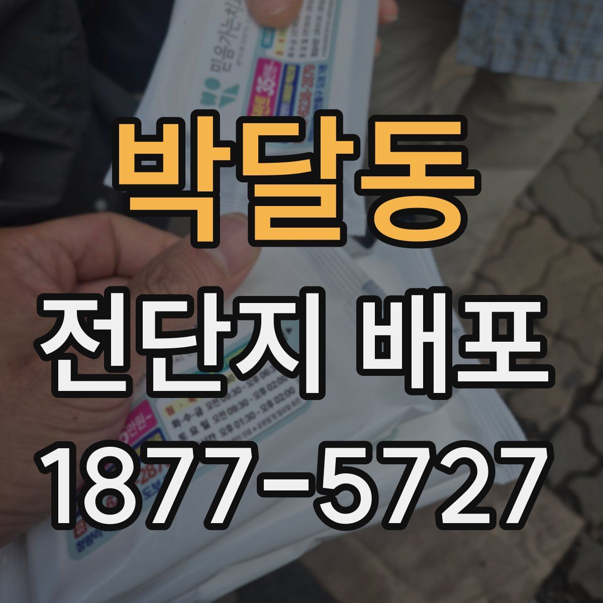 박달동 전단지 배포